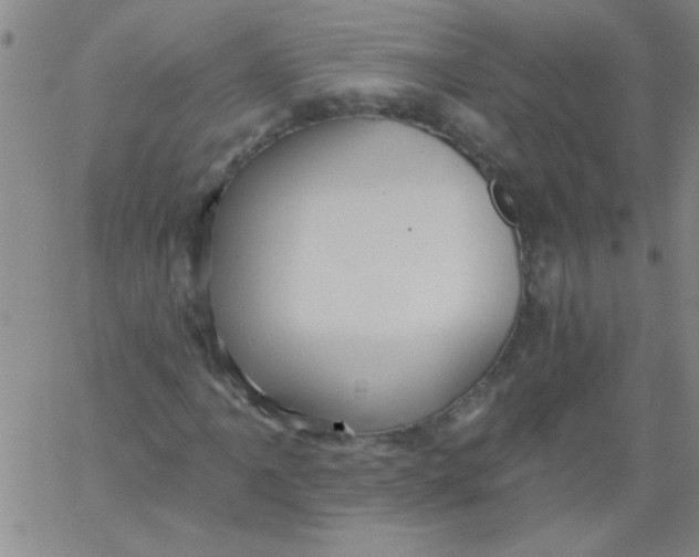 X0000061731061200512231429