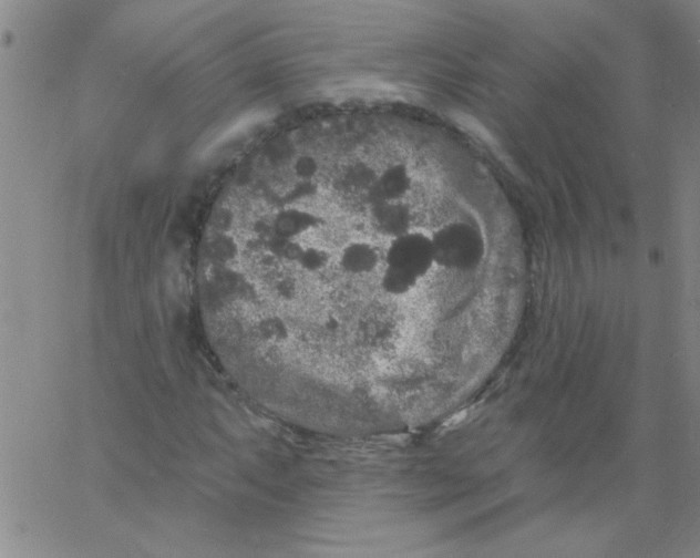 X0000061731063200512231429