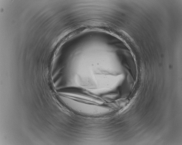 X0000061731065200512231429