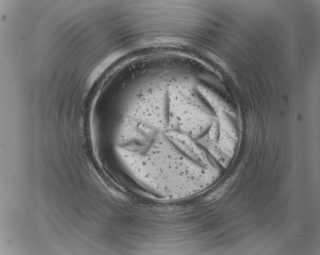 X0000061731066200512231429