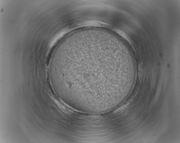 X0000061731067200512231429