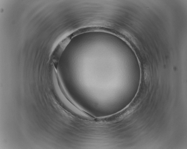 X0000061731069200512231429