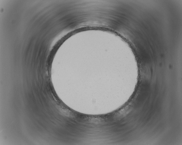 X0000061731070200512231429