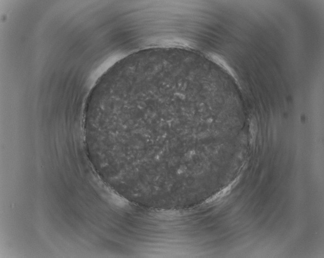 X0000061731071200512231429