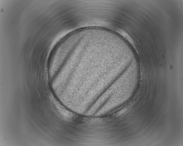 X0000061731072200512231429