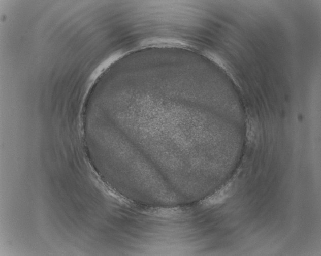 X0000061731074200512231429