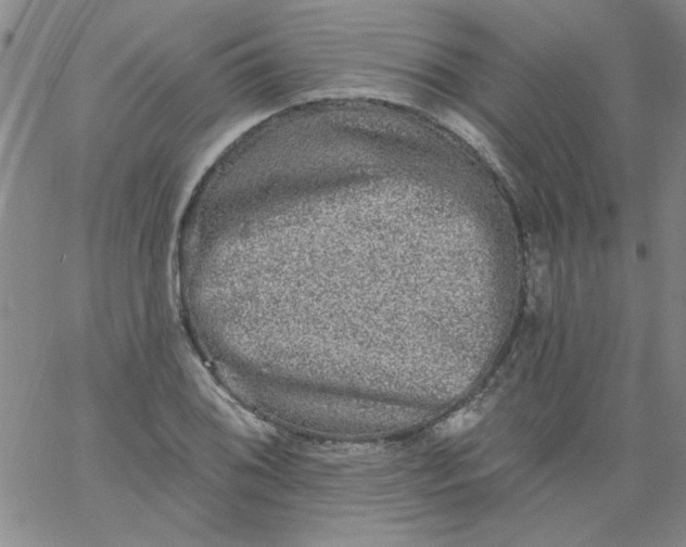 X0000061731076200512231429