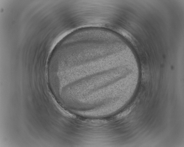 X0000061731077200512231429