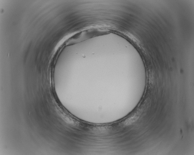 X0000061731078200512231429