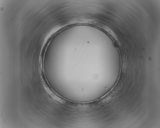 X0000061731080200512231429