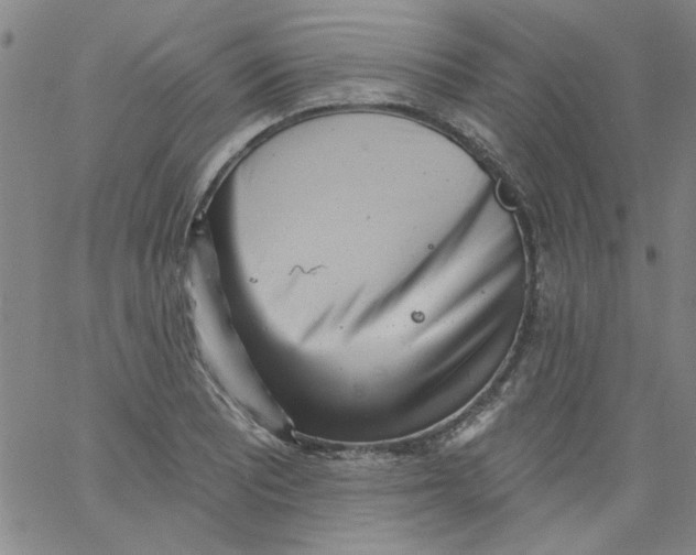 X0000061731081200512231428