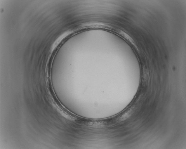 X0000061731082200512231428