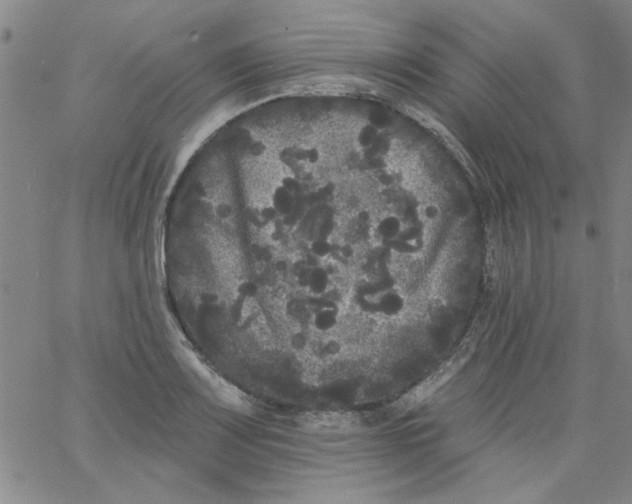 X0000061731083200512231428