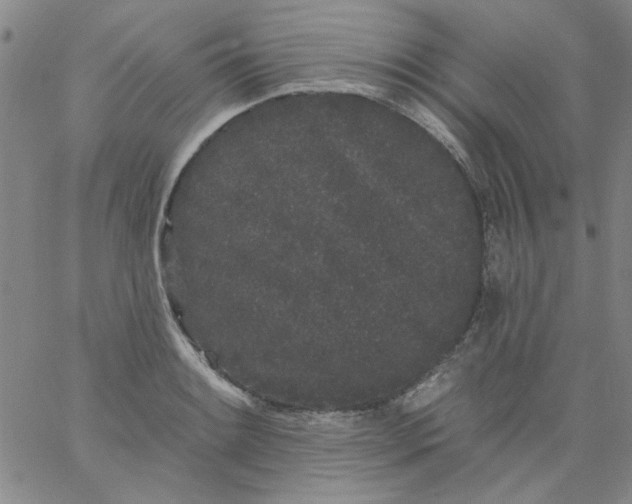 X0000061731084200512231428