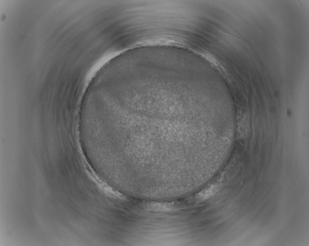 X0000061731086200512231428