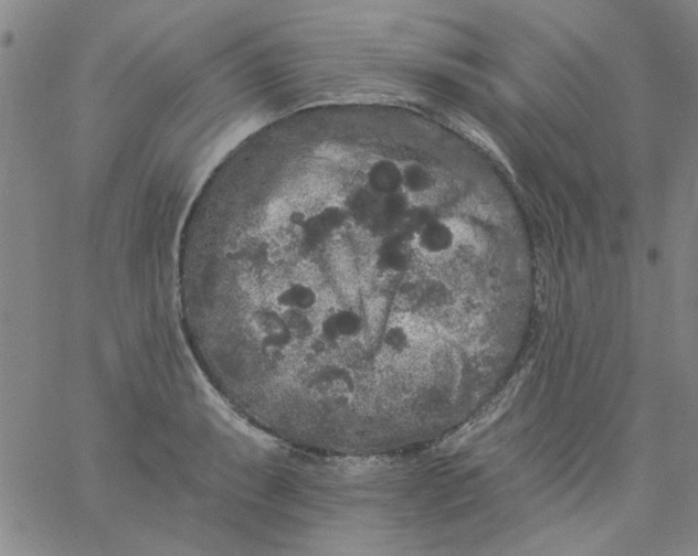 X0000061731087200512231428