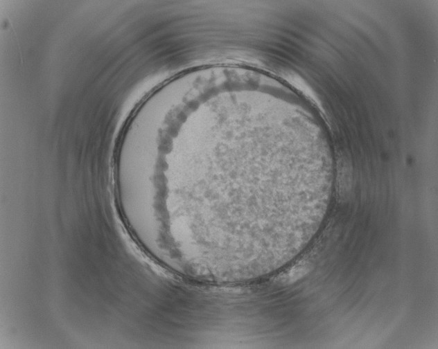 X0000061731088200512231428