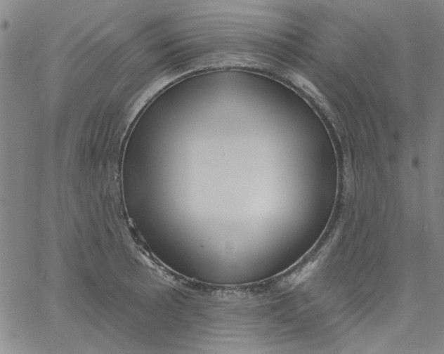 X0000061731089200512231428