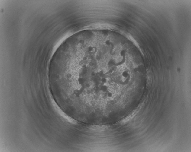 X0000061731091200512231428