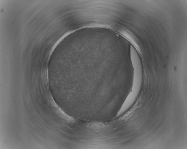 X0000061731092200512231428