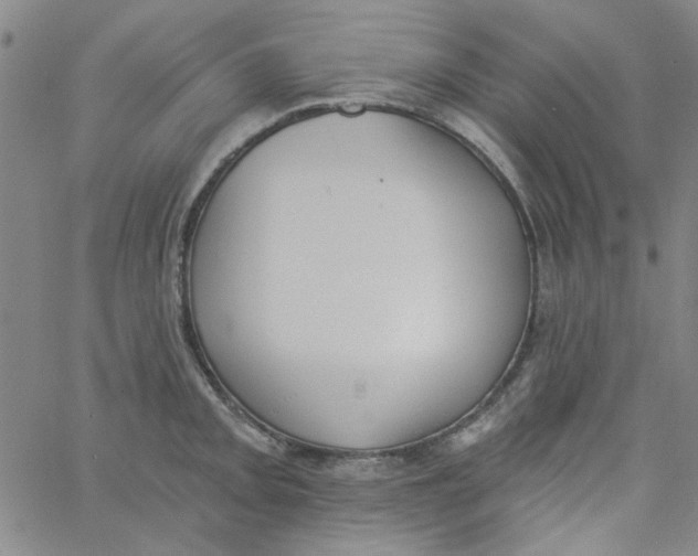 X0000061731093200512231428