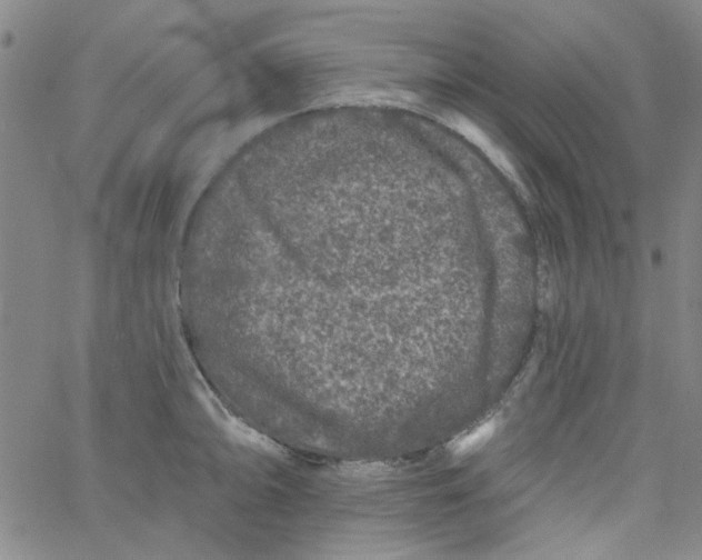 X0000061731094200512231428