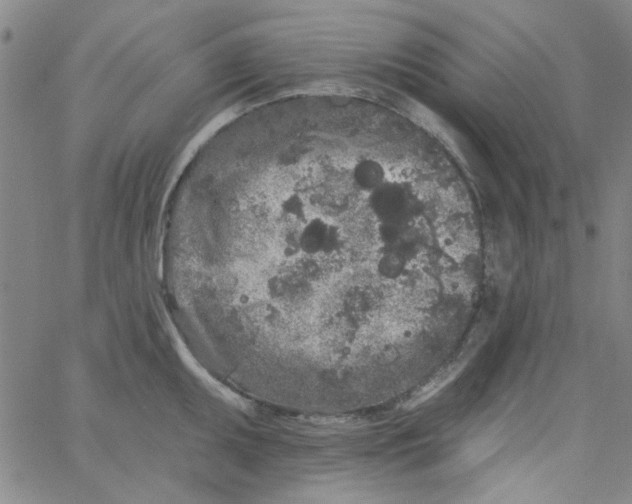 X0000061731095200512231428