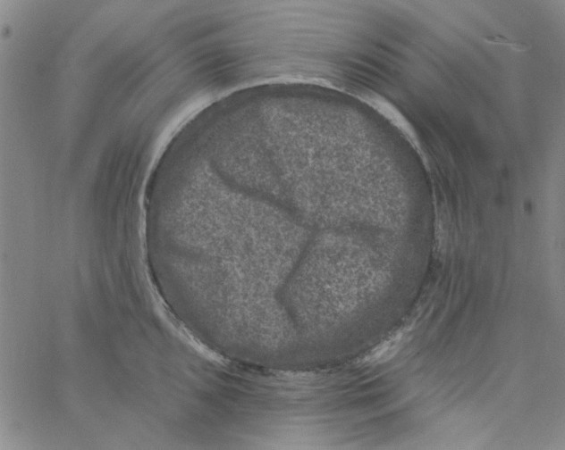 X0000061731096200512231428