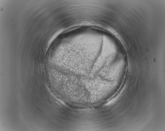 X0000061731097200512231428