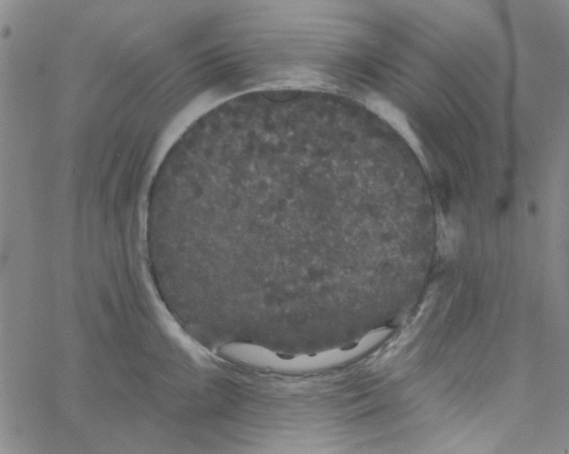 X0000061731099200512231428