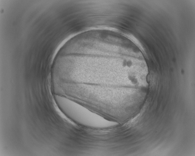 X0000061731100200512231428