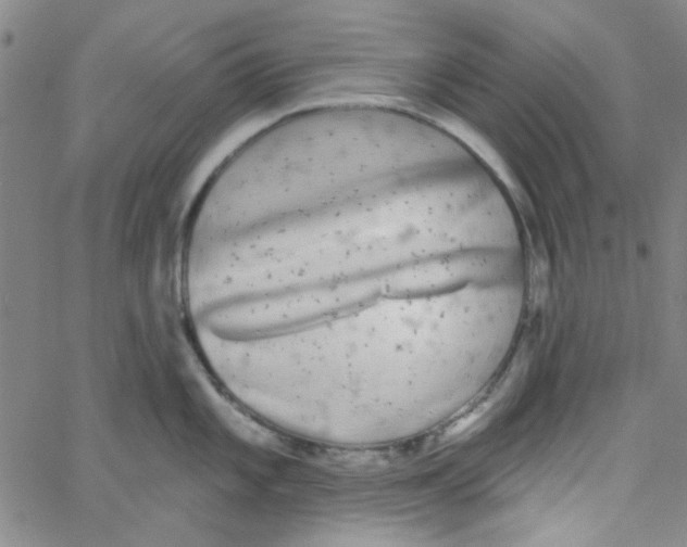 X0000061731101200512231428