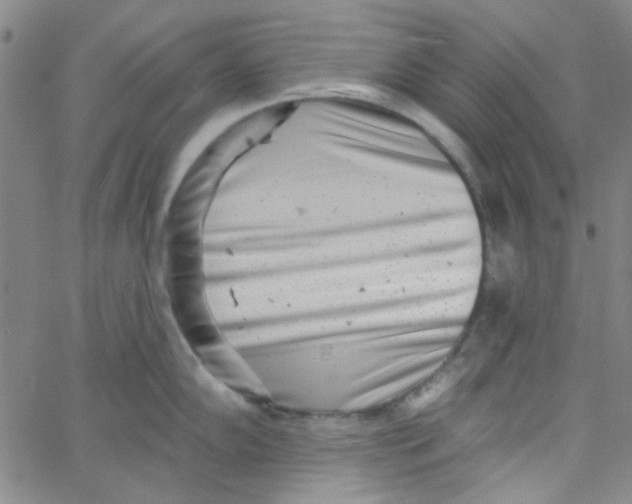 X0000061731102200512231428