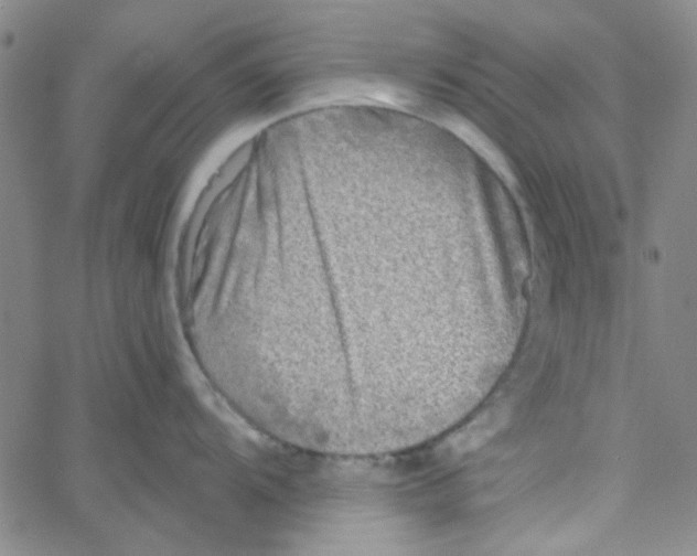 X0000061731104200512231428