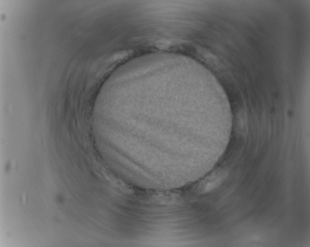 X0000061731105200512231427