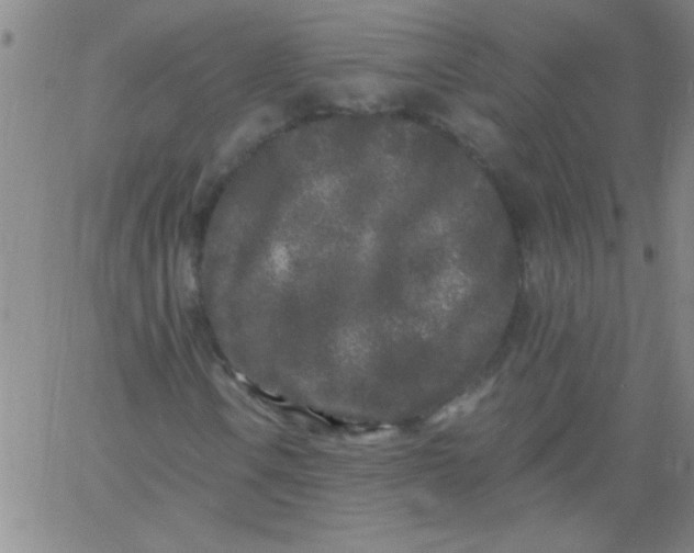 X0000061731106200512231427