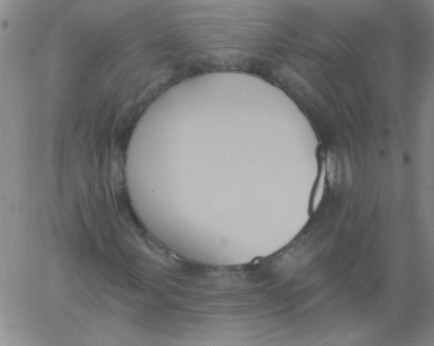 X0000061731107200512231427