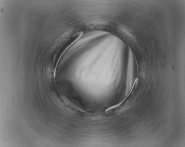 X0000061731108200512231427