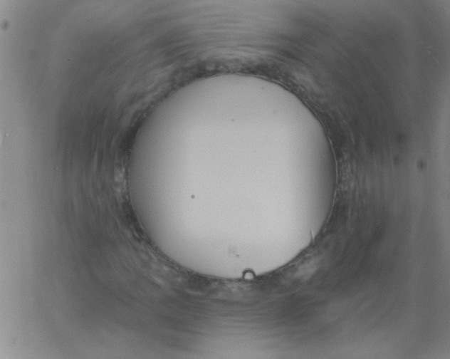 X0000061731109200512231427