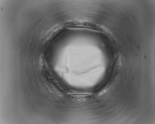 X0000061731110200512231427