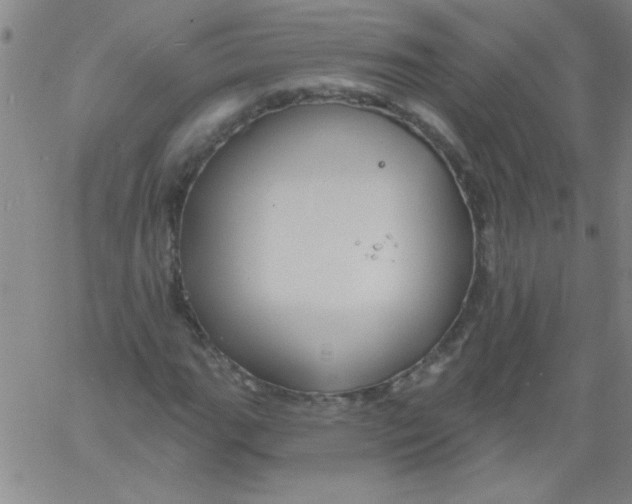 X0000061731111200512231427