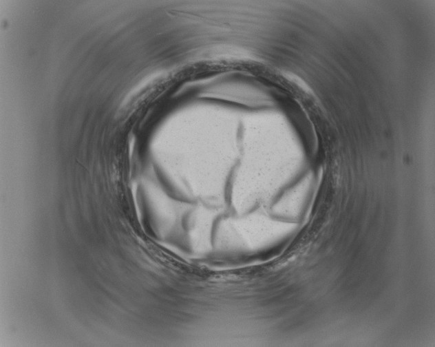 X0000061731112200512231427