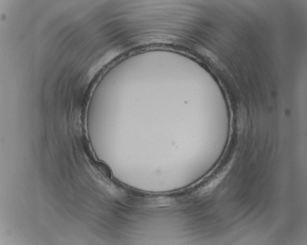 X0000061731113200512231427