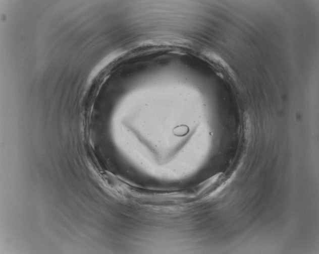 X0000061731114200512231427