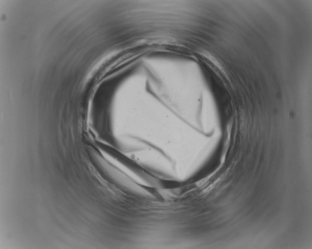 X0000061731115200512231427