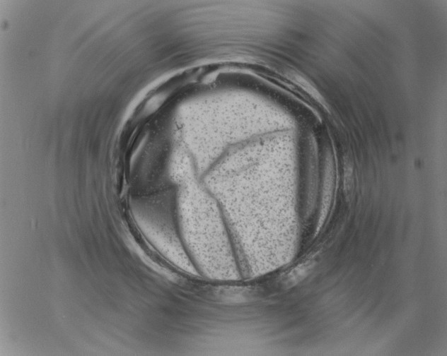 X0000061731116200512231427