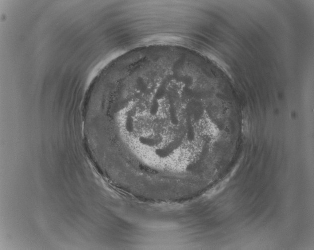 X0000061731117200512231428