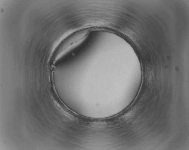 X0000061731118200512231428