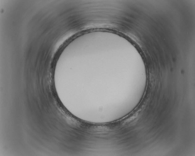 X0000061731119200512231428