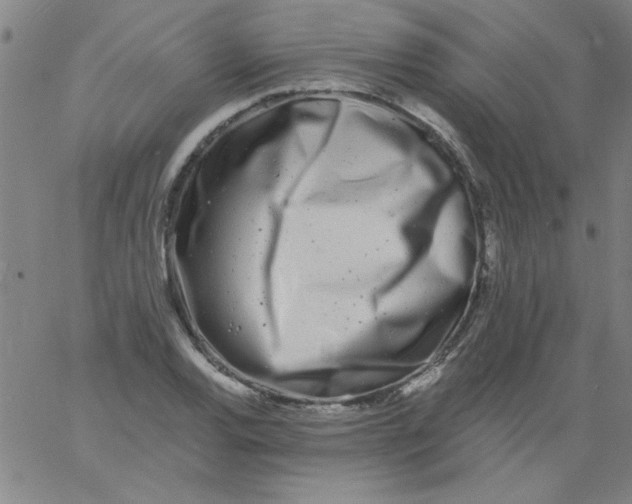 X0000061731120200512231428